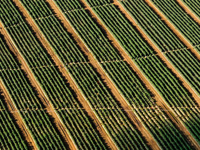 Fiat Ducato Pilote 746 — Famille